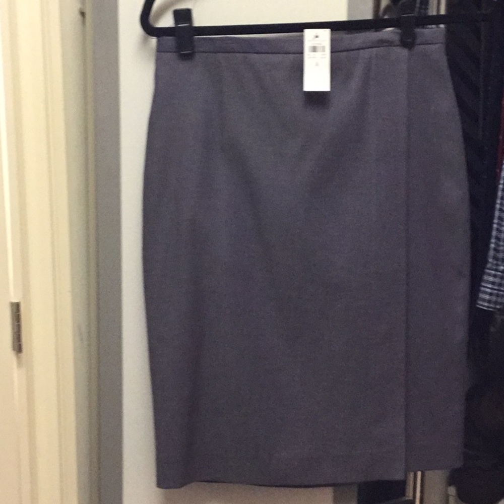 Ann Taylor skirt